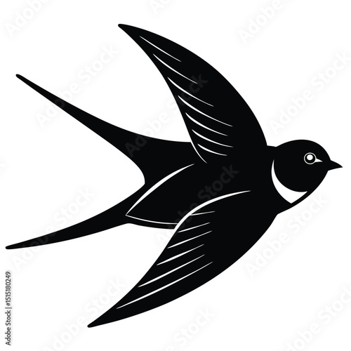 swallow vector