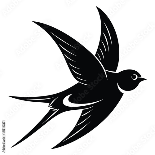 swallow vector