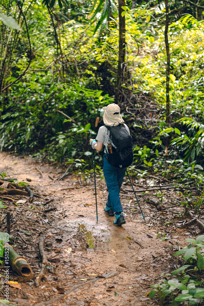 A woman walking with trekking poles in a forest in Thailand. She carries a black backpack and a beige bucket hat, surrounded by lush green trees with muddy paths. The idea for an adventure activity. A woman walking with trekking poles in a forest in Thailand. She carries a black backpack and a beige bucket hat, surrounded by lush green trees with muddy paths. The idea for an adventure activity.