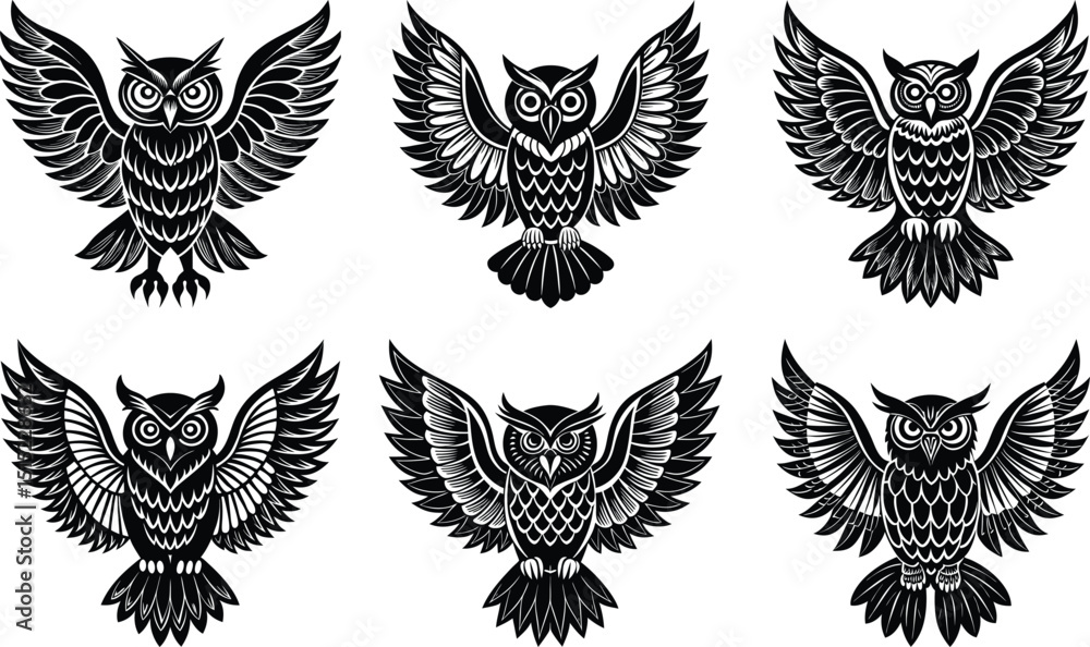 Fototapeta premium Owls with Open Wings Vector 