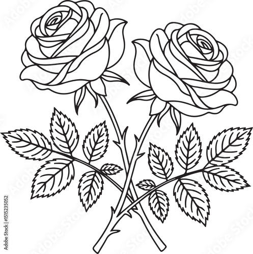 Rose Flowers Line Art Vector – Floral Outline Drawing, Symmetrical Botanical Design, Black and White Rose Clipart for Coloring and Tattoos | Elegant Rose Drawings with Detailed Leaves and Stems