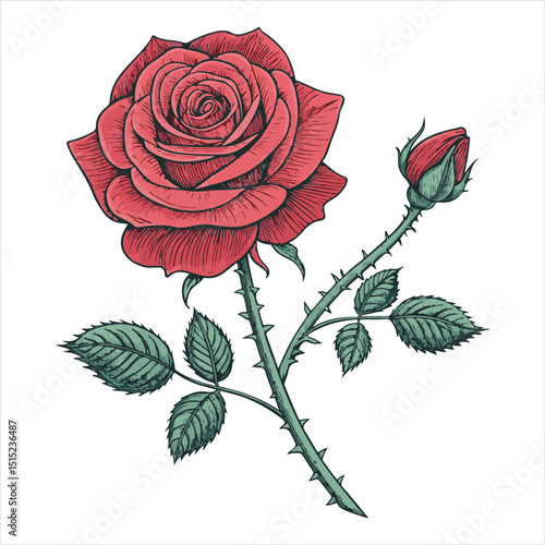 ROSE VECTOR.