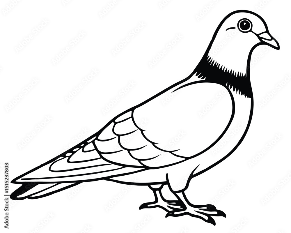 Fototapeta premium Vector illustration of a dove of peace, a wild bird silhouette with feather wing on a branch