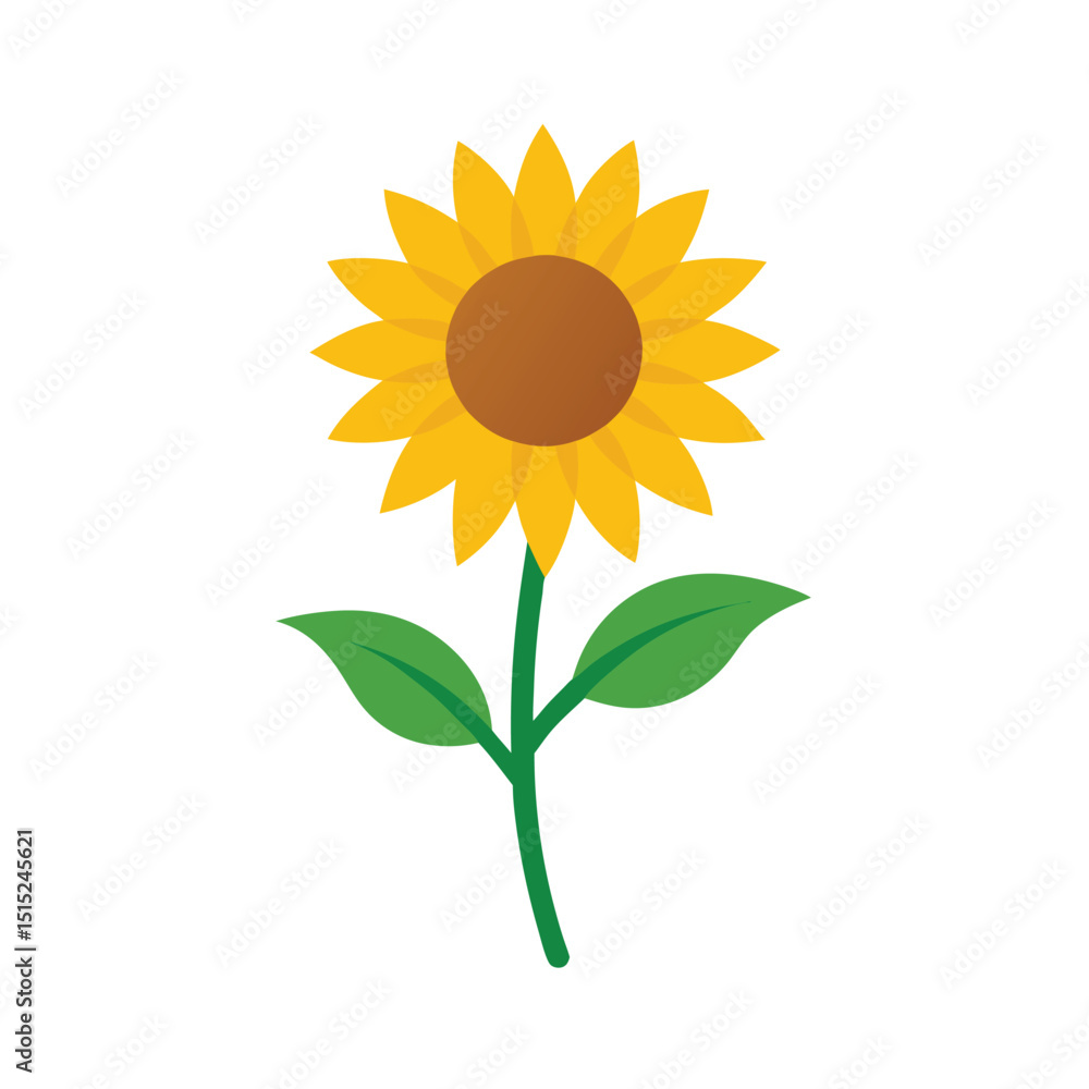 Fototapeta premium sunflower isolated on white background