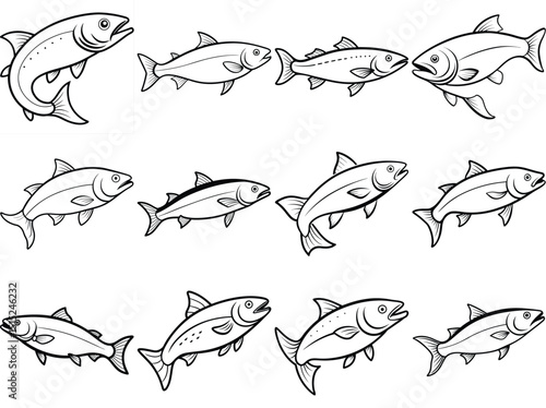 Salmon Fish outline vector illustration isolated on white background.