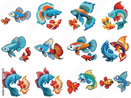 Guppy vs betta vector illustration isolated on white background.