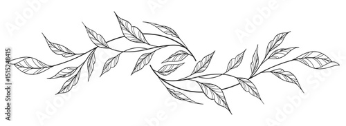 floral leaves line art isolated on white background. Divider doodle leaf and flowers, nature border decorative element vector illustration