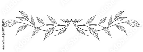 floral leaves line art isolated on white background. Divider doodle leaf and flowers, nature border decorative element vector illustration