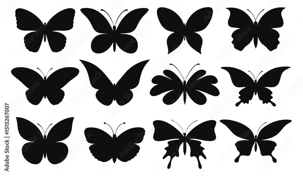 Fototapeta premium Monochrome Butterfly Pattern, Simple Elegant Nature Insect Design, On White Background