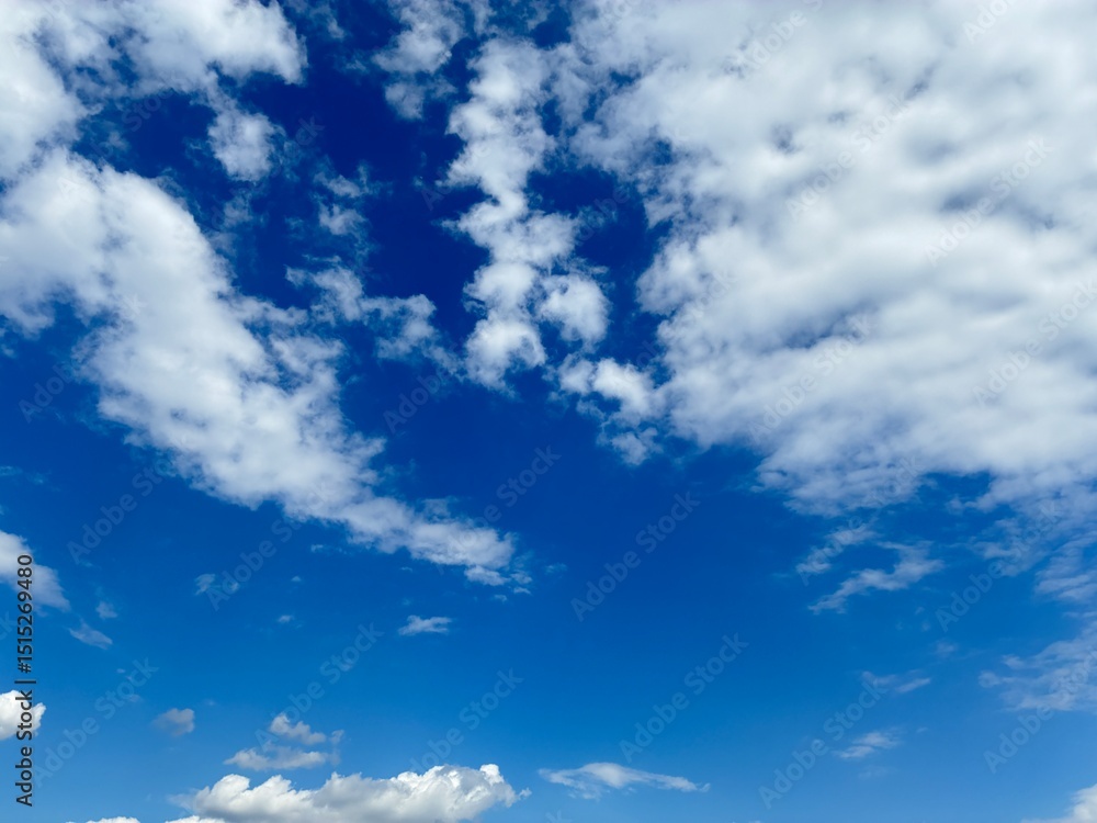 Fototapeta premium Clear blue sky.
