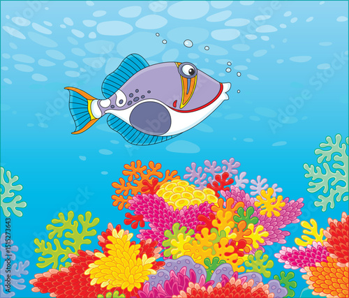 Funny triggerfish swimming over colorful corals of a reef in blue water of a tropical sea, vector cartoon illustration