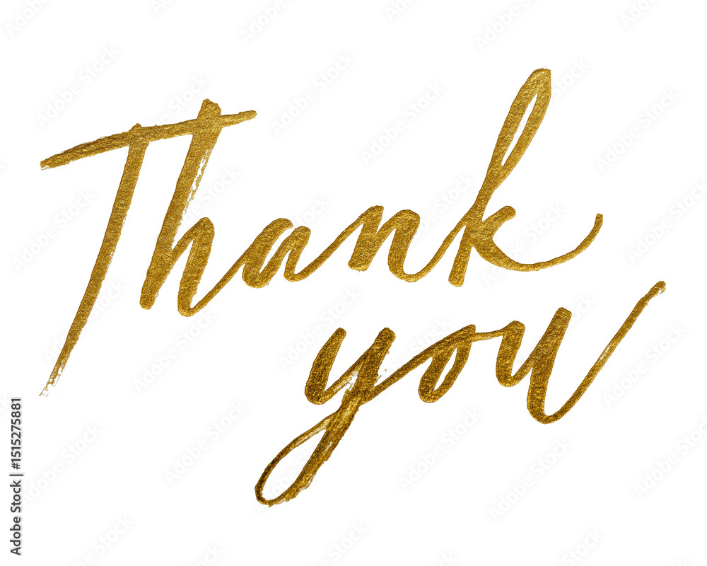 Fototapeta premium Thank you text in gold brush script. Elegant handwritten gold lettering spelling 