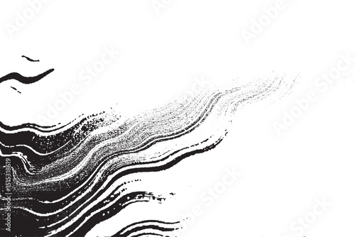 Evaporating Stream — Black and White Abstract Flow Design

