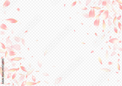 2400x170030__Persik_sakura3_01.eps
