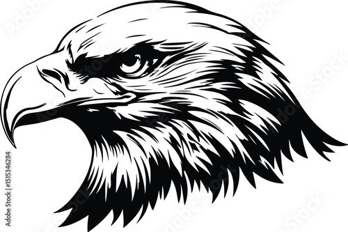 Black silhouette of a powerful eagle with open wings spreading across white background