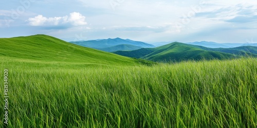 Nation relaxation day with calm nature idea. Vast green hills under a blue sky with fluffy clouds.