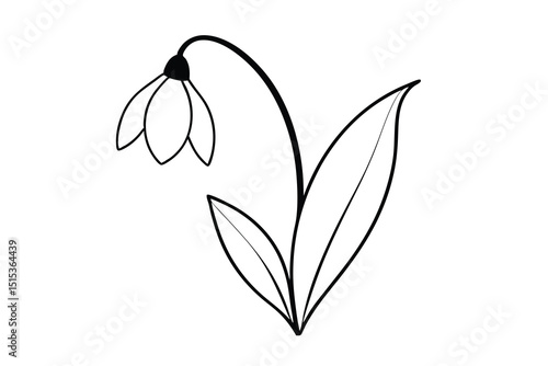 Simple line art drawing of a single snowdrop flower