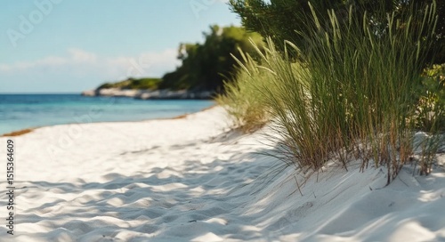 Tranquil Beach Pathway With Soft Sand and Gentle Waves in the Distance Under ...