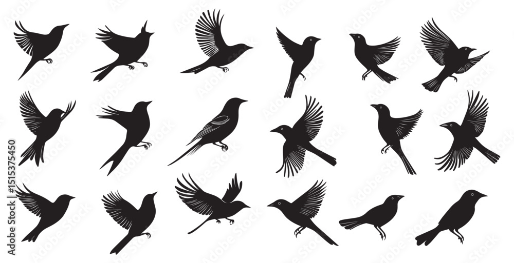 Obraz premium Bird silhouettes, perched, flying, white background.