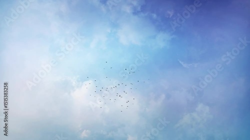 Starlings in Pattern Flight Blue Cloudy Sky 4K Loop features a blue sky with moving clouds and a flock of Starling birds flying together in a pattern or murmuration in a loop. 
