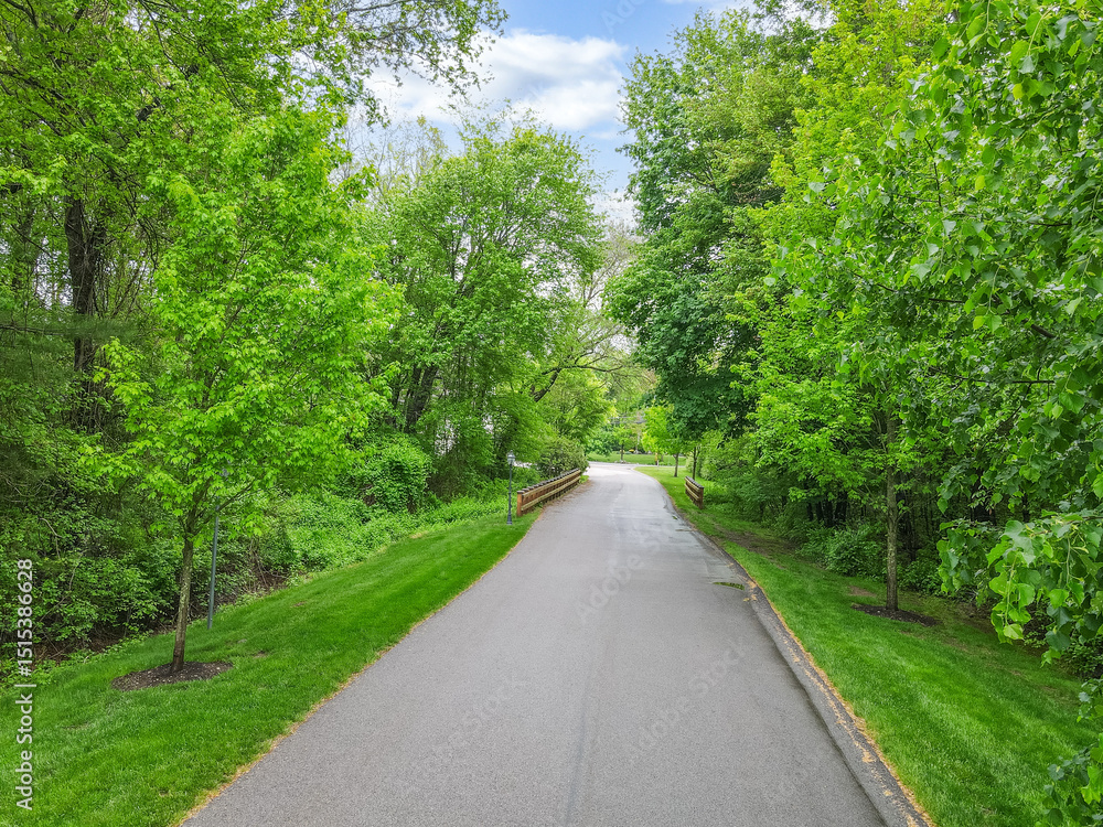 Obraz premium paved road with trees and grass on either side
