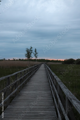 Sunset on the Federseesteg