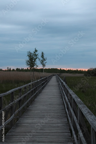 Sunset on the Federseesteg