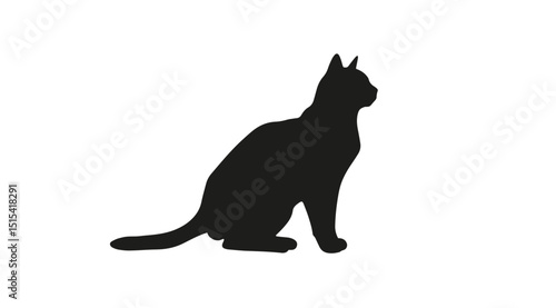 Silhouette of a domestic cat sitting on the floor