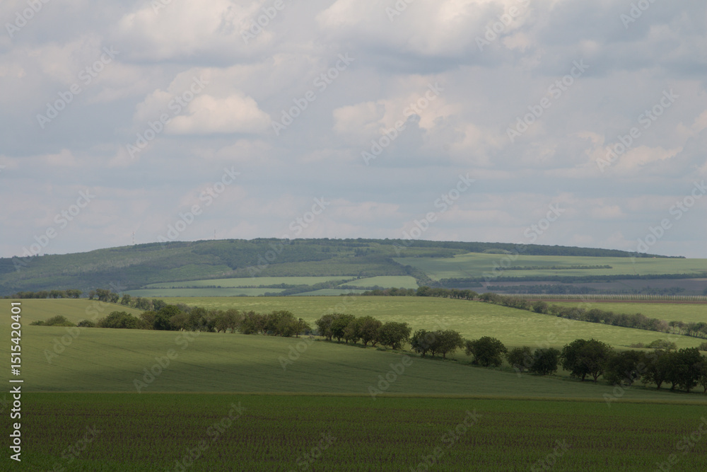 Obraz premium A large sign over a field