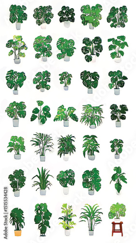 Lush Greenery and Leafy Foliage: Eco-Friendly Indoor Plants and Houseplants for Botanical Home Decor