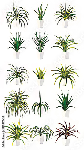 Enchanting Botanical Variety: Lush Indoor Plant Decoration with Vibrant Foliage Textures and Creative Eco-Friendly Arrangements