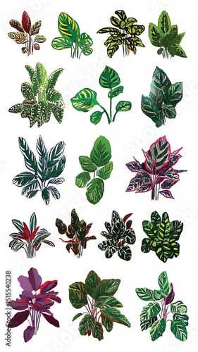 Vibrant Tropical Leafy Greens: Exotic Botanical Patterns for Home Decor and Indoor Gardening Inspirations