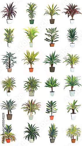 Urban Jungle Bliss: Aesthetic Indoor Greenery with Tropical Houseplants and Colorful Foliage