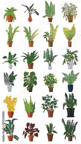 Lush Greenery and Potted Plant Arrangements: The Botanical Illustration of Indoor Plants for Home Aesthetics and Nature Decor