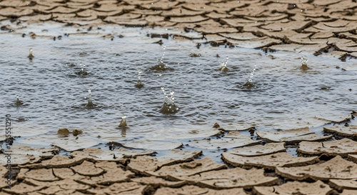 Raining Hope Restoring Life Into Parched Earth Nature Rejuvenation Revival