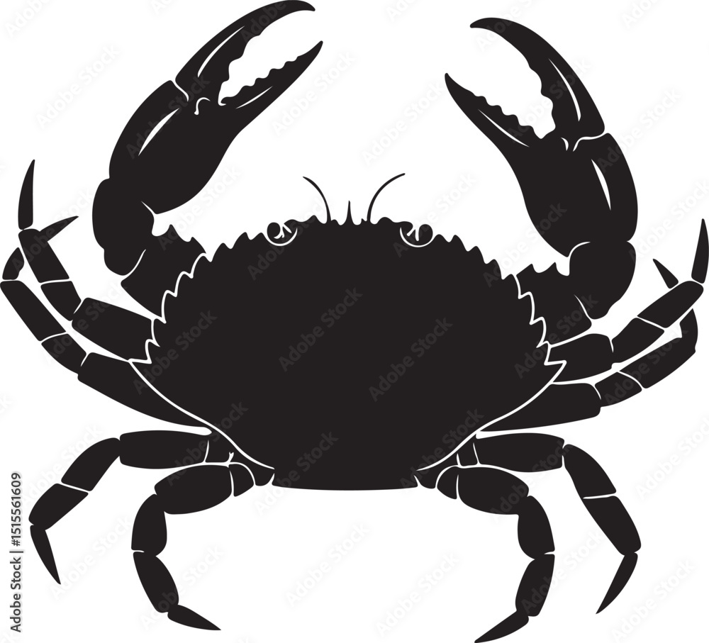 Foto Dungeness Crab Silhouette Side View