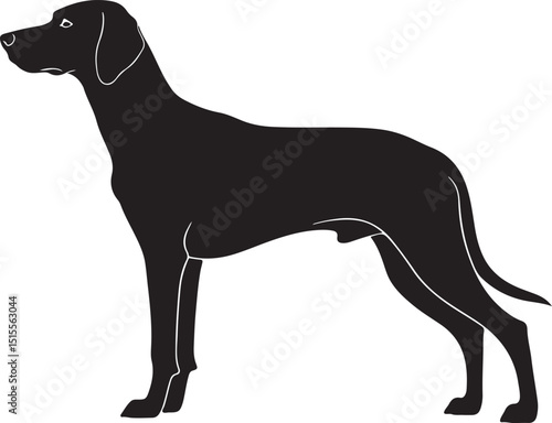 Hellenic Hound Silhouettes