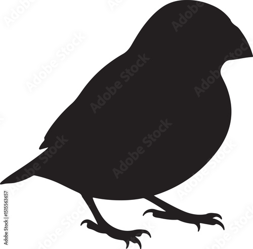 Java Sparrow Silhouettes