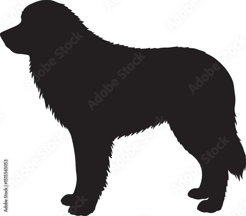 Maremmano-Abruzzese Sheepdog Silhouettes