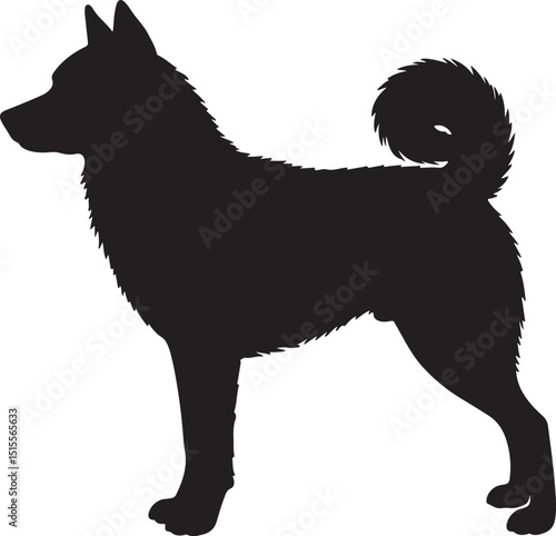 Nenets Herding Laika Side View Silhouettes