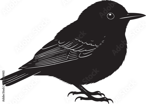 Radde’s Warbler Side View Silhouettes