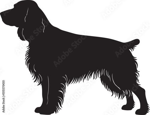 Blue Picardy Spaniel Side View Silhouettes