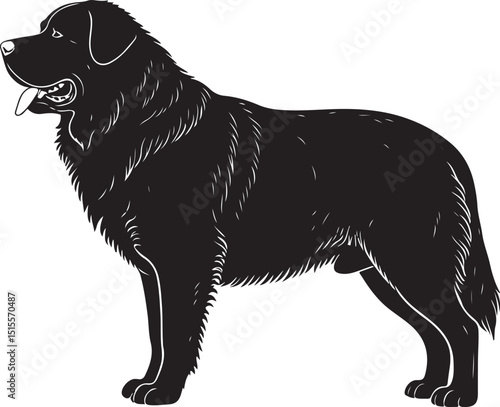 Bucovina Shepherd Dog Side View Silhouettes
