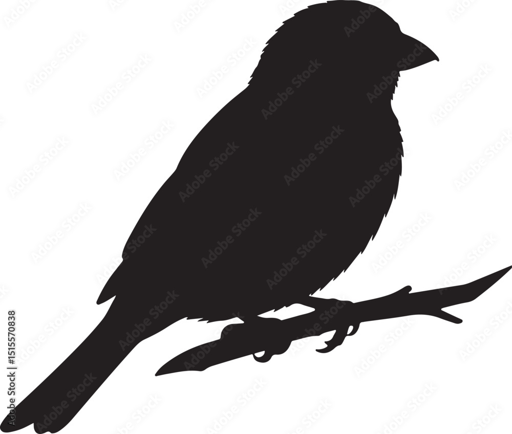 Fototapeta premium Dainty Sparrow Silhouettes Vector Pack