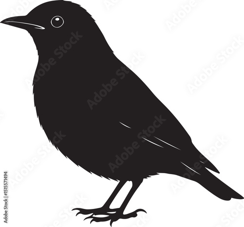 Song Thrush Side View Silhouettes