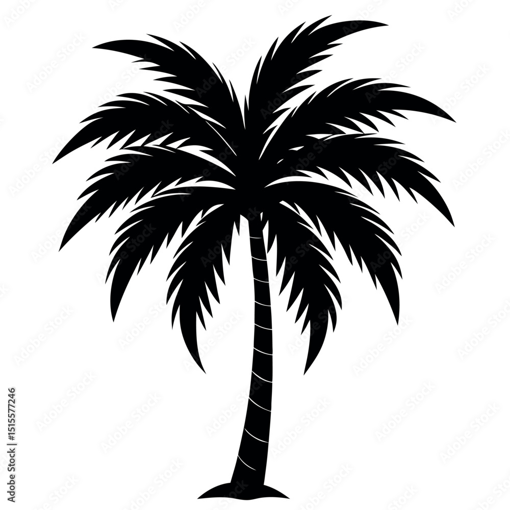 Obraz premium Palm Tree Drawing