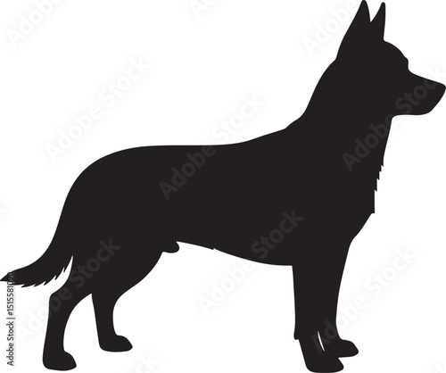 фотографія vector illustration of a black dog