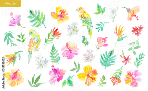 Vector clipart set of abstract watercolor hibiscus flowers, tropical plants, monstera leaves, and parrots. Hand-painted tropical botanical illustrations with exotic plants and bird for summer.