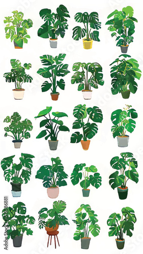 Indoor Plant Lovers' Dream: Monstera and Greenery for Eco-Friendly Home Decor and Botanical Art