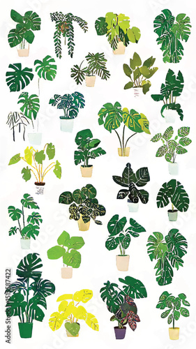 Wallpaper Mural Indoor Greenery Aesthetic: Lush Foliage of Monstera Palm and Cactus Succulents in Decorative Pots for Sustainable Living and Wellness Space with Botanical Art and Nature Inspired Home Decor Torontodigital.ca
